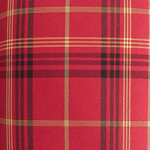 Tartan. Example of pattern on fabric. Geometric, lines of various widths.