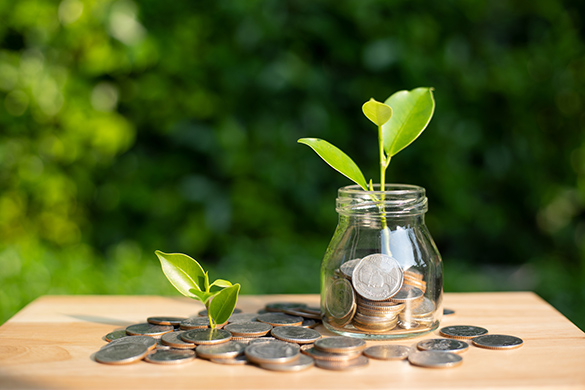 A coin jar with plants growing out of it