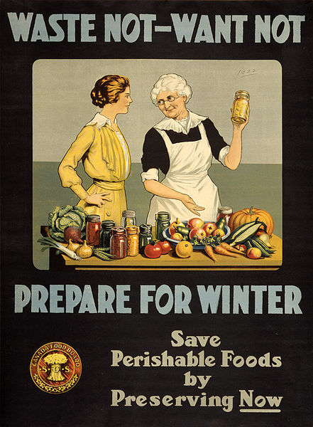 A WWI propaganda poster with the words, 'Waste Not, Want Not.' It shows an older woman instructing a younger woman in the preservation (jarring) of perishable goods.
