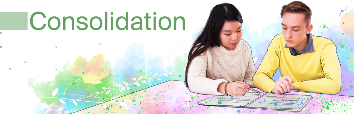 consolidation banner