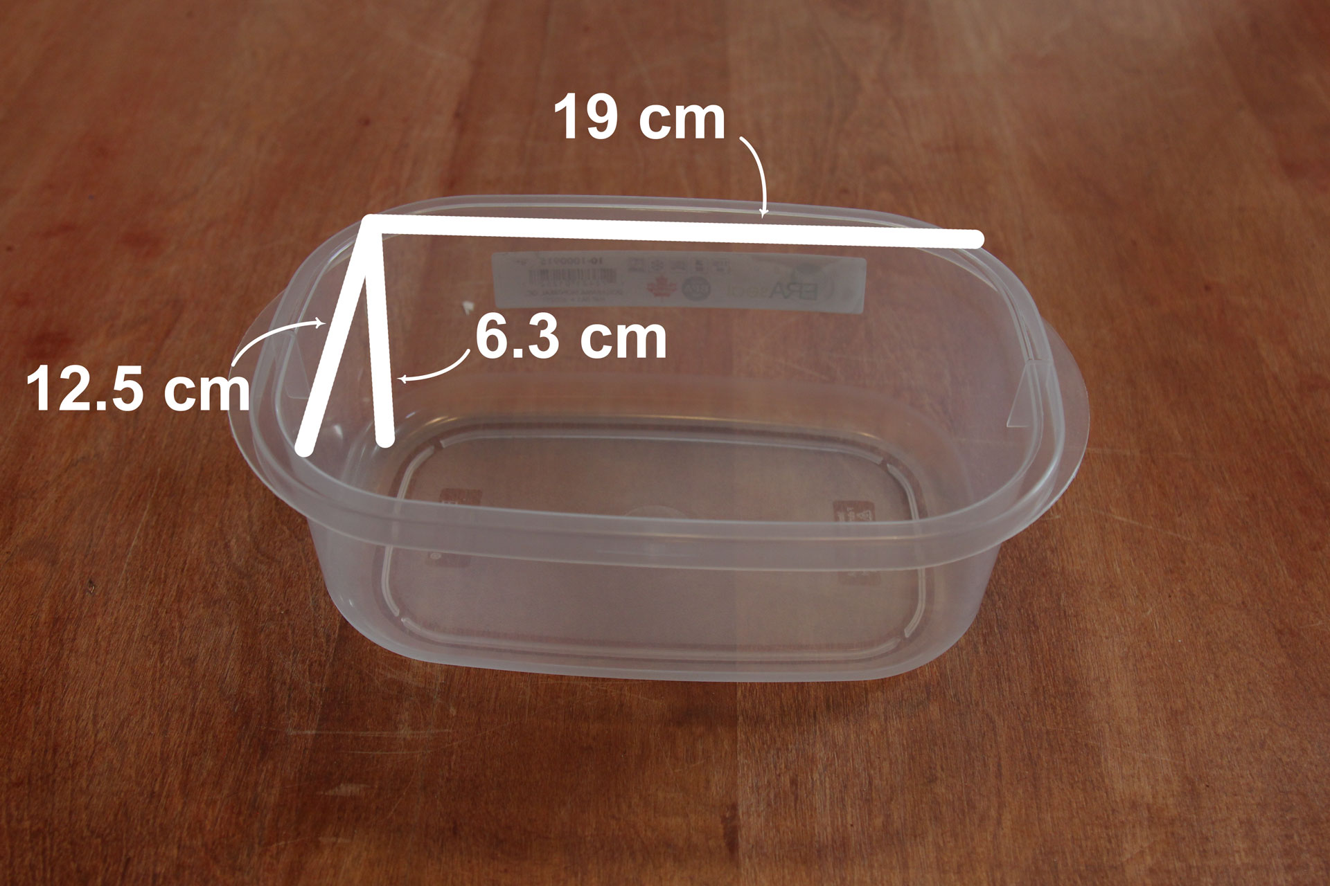 Container with dimensions 19 cm, 12.5 cm, 6.3 cm.