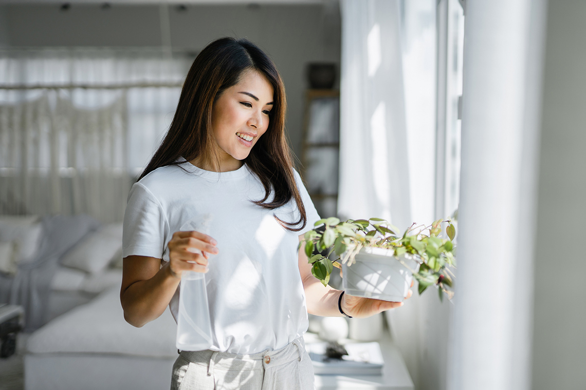 A person watering a plant