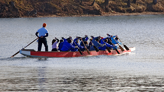 A rowing team in a long boat, paddling in synchronization. The coxswain is standing at the back of the boat giving instructions.