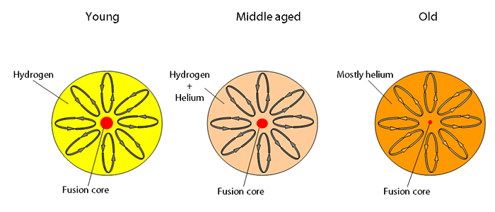 As a low mass star ages, its composition changes from mostly hydrogen to mostly helium