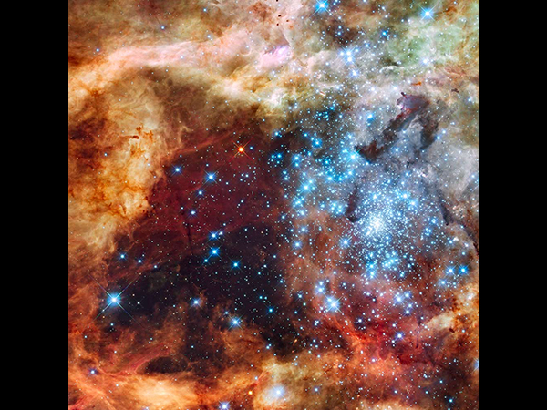 Doradus nebula, a large cluster of blue stars