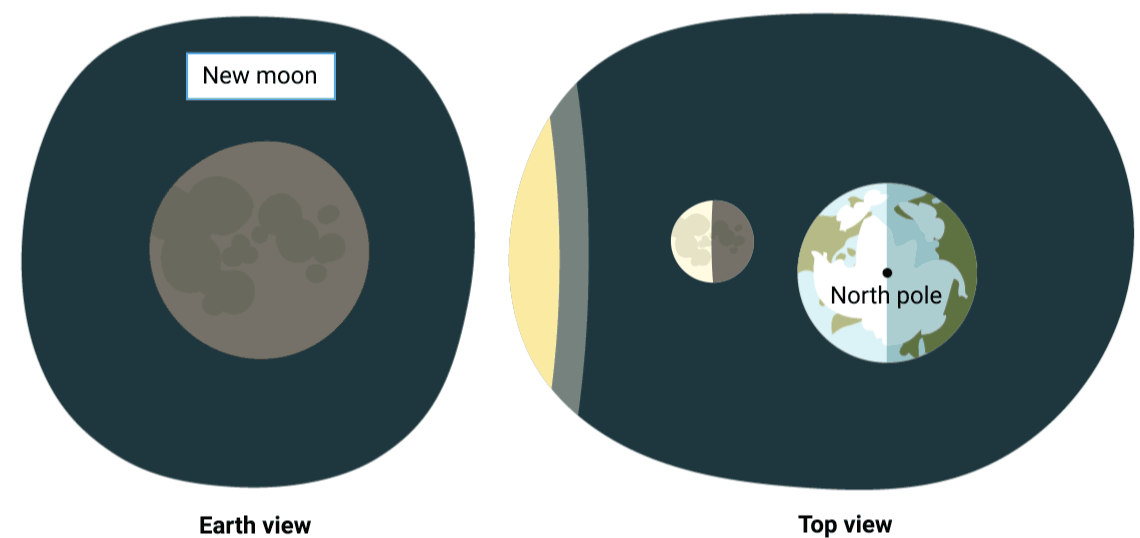 Phases of the moon animation
