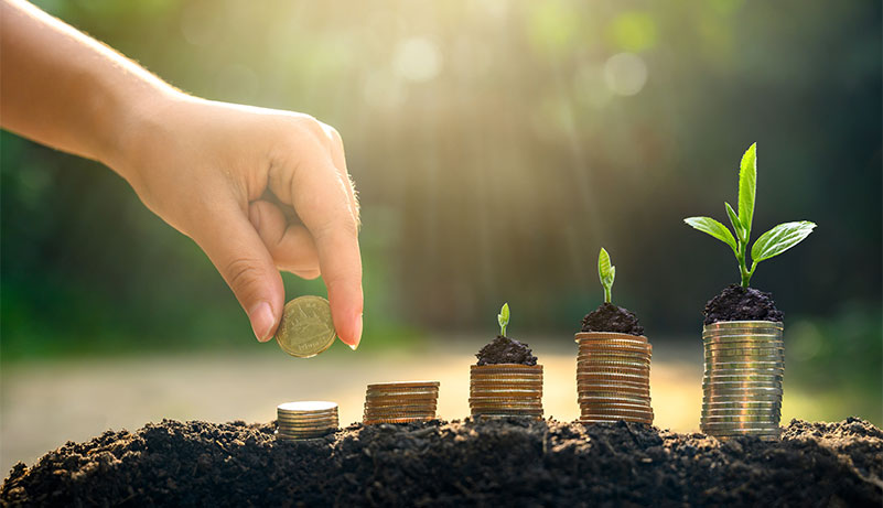 Coins are placed on the soil in five sections with the first stack of coins being smaller than the next stack of coins.