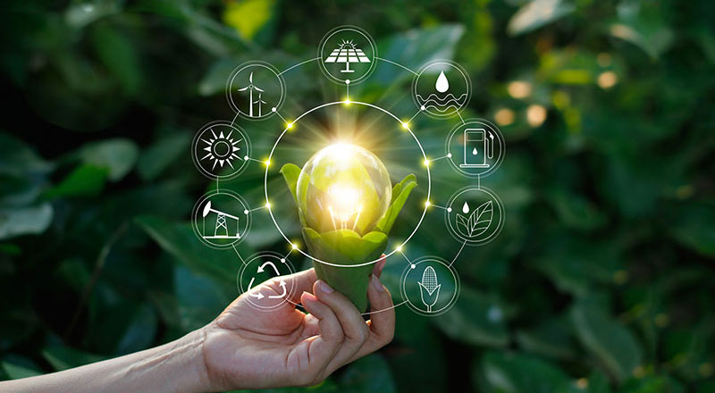 Ecology concept. Hand holding light bulb against nature on green leaf with icons energy sources for renewable, sustainable development, save energy.