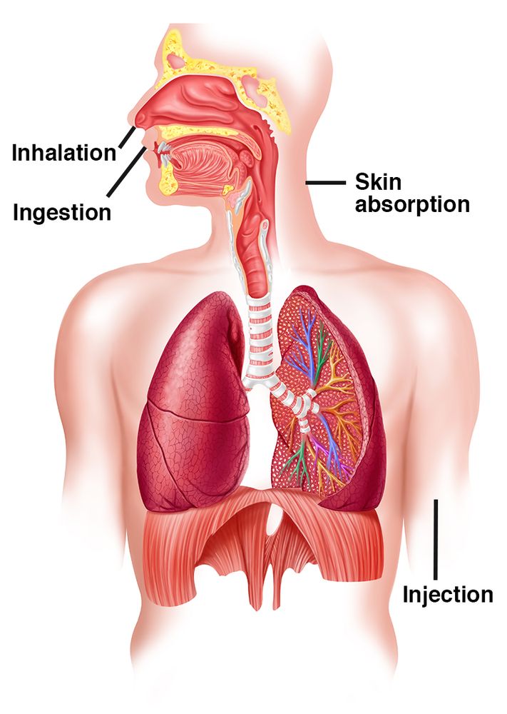 All that you need know about toxicology