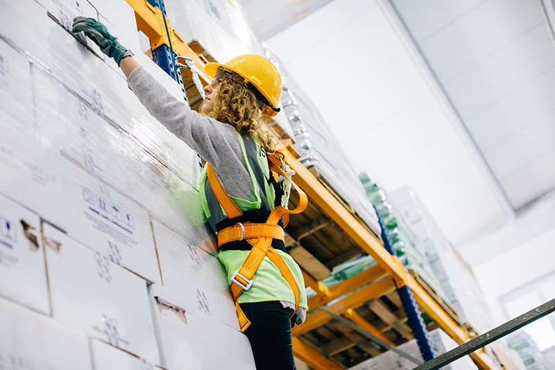 Young worker wearing a safety harness