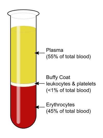 A test tube showing that the red blood cells settle to the bottom and are red. On top of them is a thin layer of white which is called the buffy coat and contains white blood cells and platelets. On the very top is the biggest layer and it is yellow-ish and is the plasma.