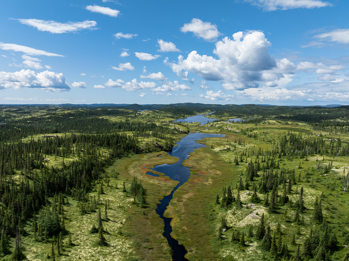 High angle view of wetland