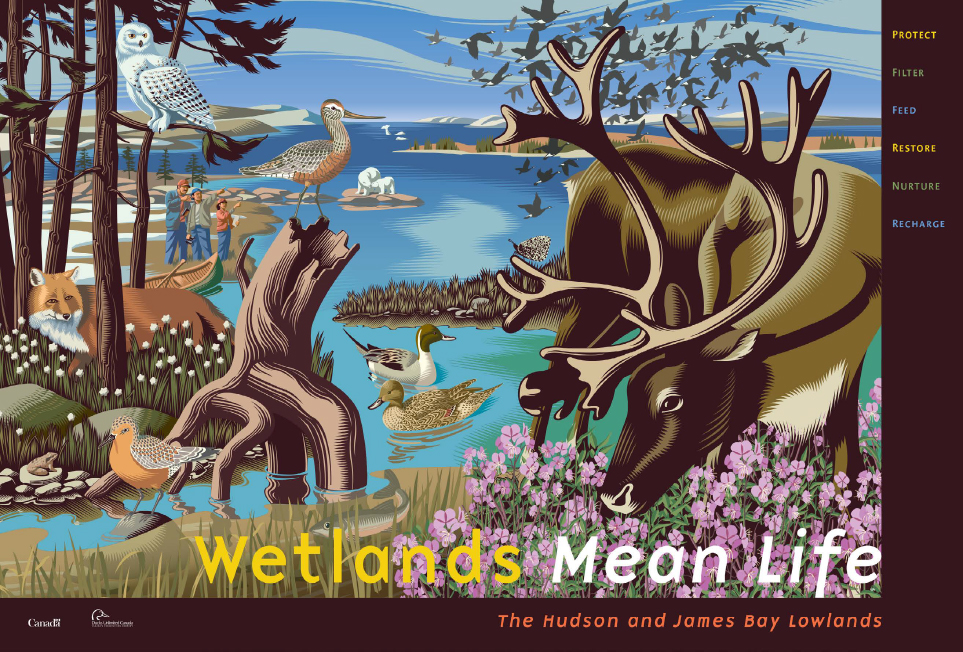 Wetlands mean life
