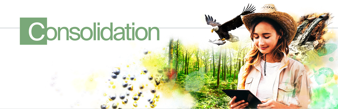 Consolidation